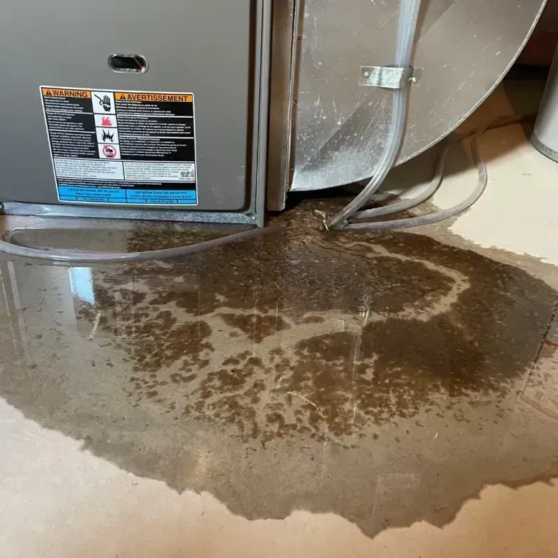 Appliance Leak Cleanup in McChord Air Force Base, WA